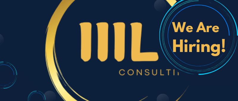 3L Consulting